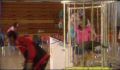 dr dolittle 3-avi_057.jpg